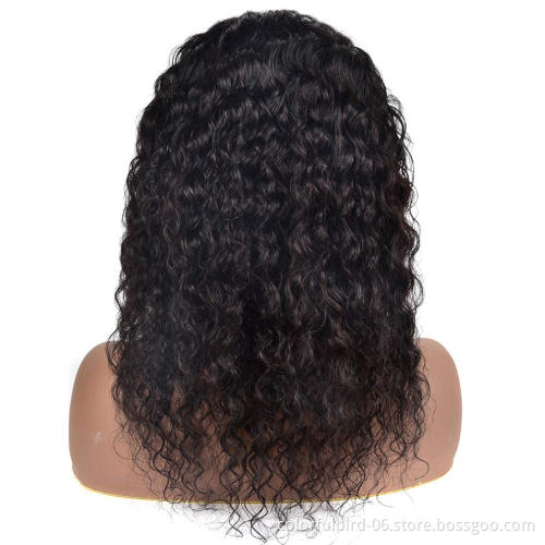 HLN Brazilian hair raw virgin cuticle aligned human hair wigs 4x4 HD lace closure wigs human hair Water Wave wig